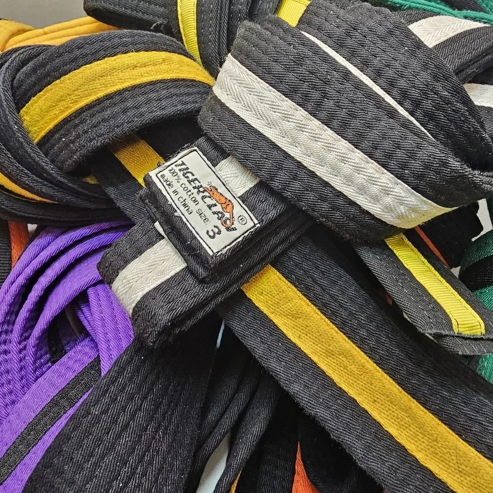 Karate Martial Arts TigerClaw Ranking Belts Lot of 10 Various Ranks Ju Jitsu MMA